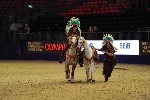 Quadrille - 00242